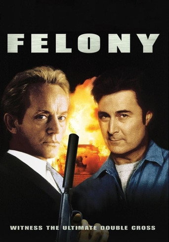 Felony movie poster