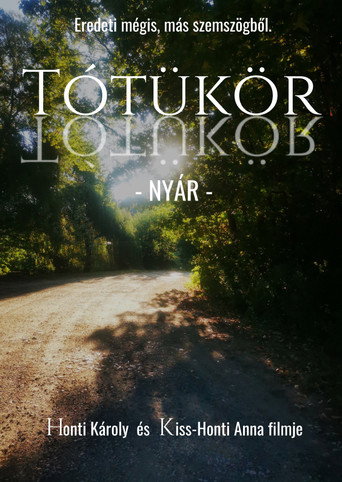 Tótükör - NYÁR movie poster