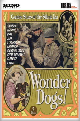 Wonder Dogs! Canine Stars of the Silent Era (1898-1928) movie poster