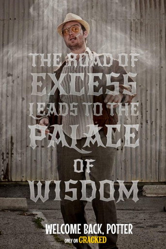 Welcome Back, Potter movie poster