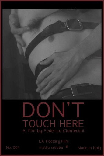 Don't Touch Here movie poster