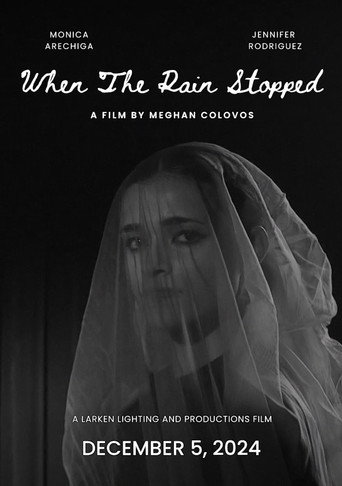 When The Rain Stopped movie poster