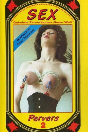 Sex Pervers 2 movie poster