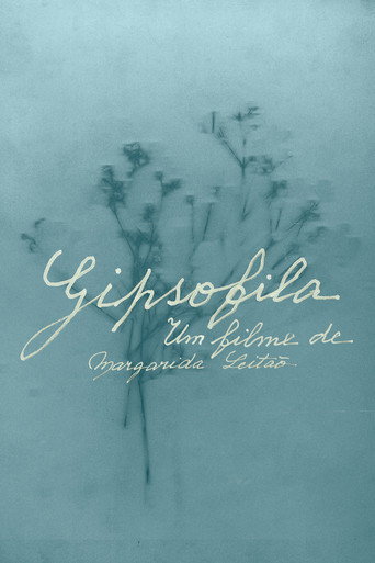 Gypsophila movie poster