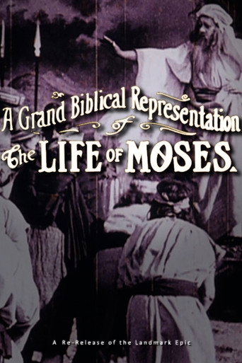 The Life of Moses movie poster