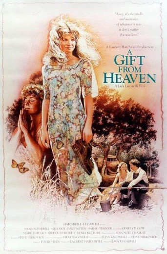 A Gift from Heaven movie poster