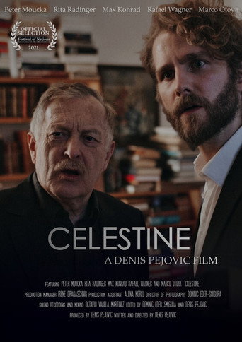 Celestine movie poster