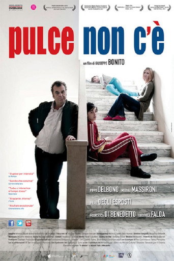 Pulce non c'è movie poster