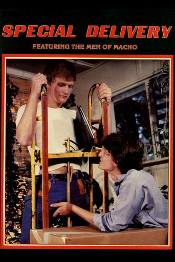 Special Delivery movie poster