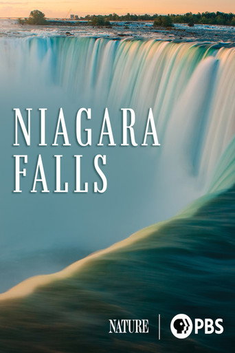 Niagara Falls movie poster