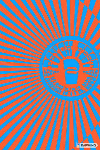 Austin Psych Fest 2 movie poster
