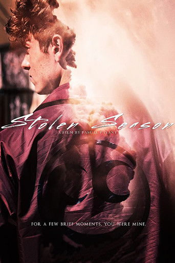 Stolen Season movie poster