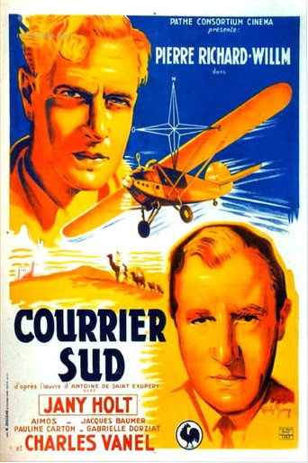 Southern Carrier movie poster
