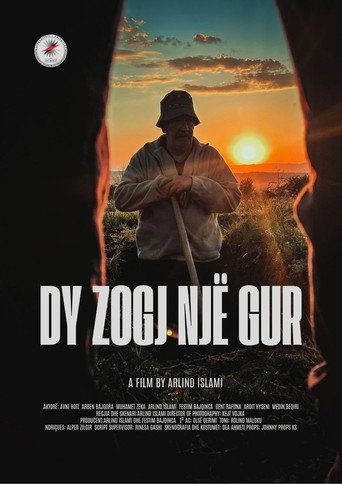 Dy zogj një gur movie poster