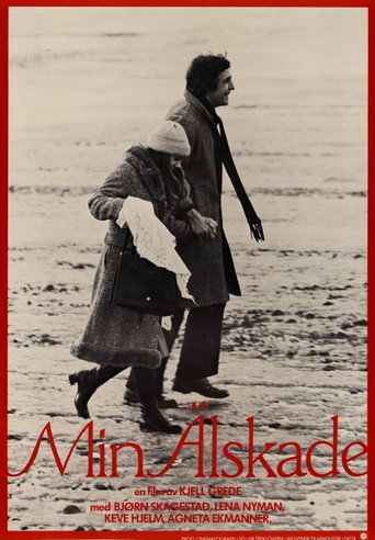 Min älskade movie poster