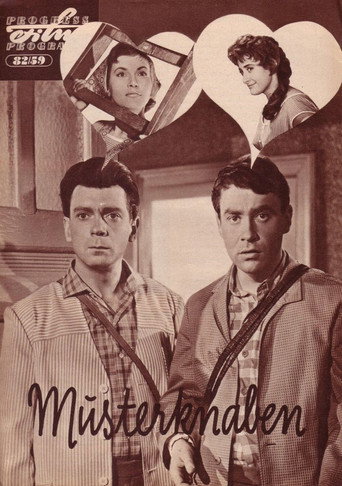 Musterknaben movie poster