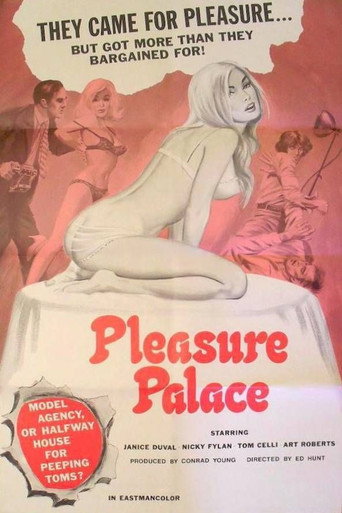 Pleasure Palace movie poster