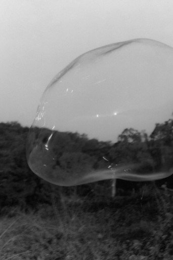Inventário das Pequenas Mortes (Sopro) movie poster