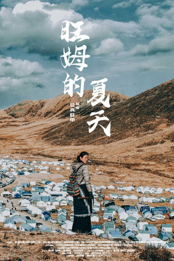 旺姆的夏天 movie poster
