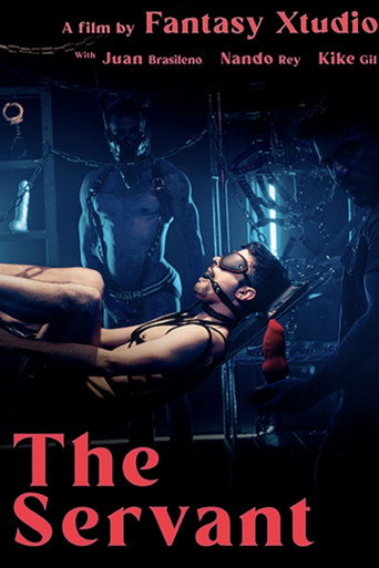 The Servant movie poster