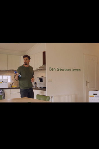 Een gewoon leven movie poster