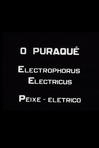 O Puraquê movie poster