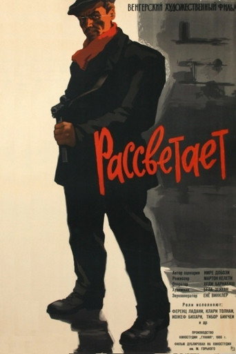 Virrad movie poster
