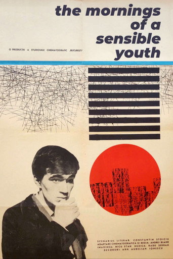 The Mornings of a Sensible Youth movie poster
