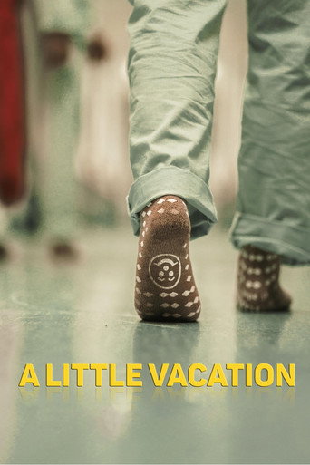 A Little Vacation movie poster