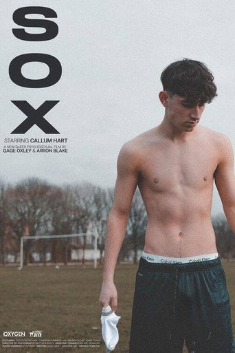 Sox movie poster