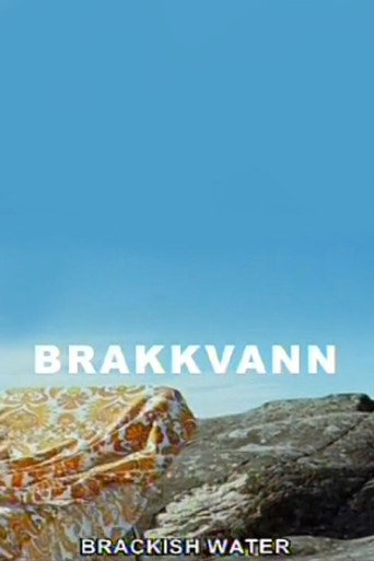 Brackish Water movie poster