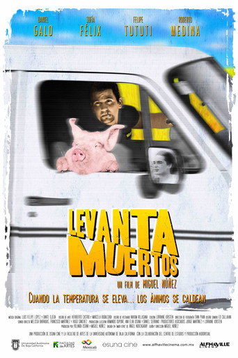 Death Strokes movie poster