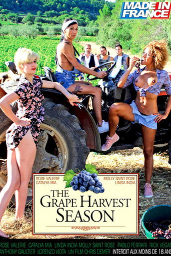 The Grape Harvest Season movie poster