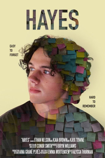 Hayes movie poster