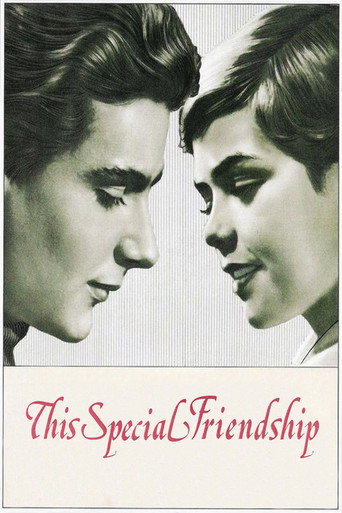 This Special Friendship movie poster