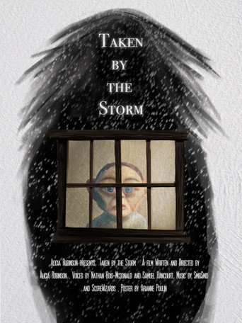Taken by the Storm movie poster