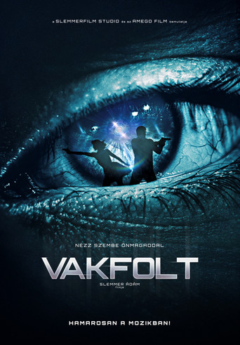 Blindspot movie poster