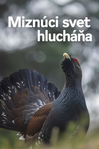 Disappearing World of the Capercaillie movie poster