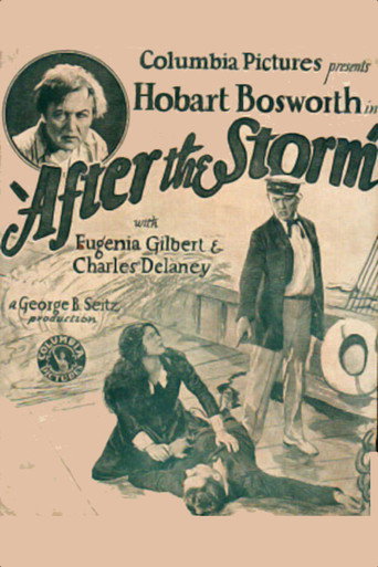 After the Storm movie poster