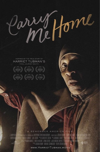 Carry Me Home: A Remember America Film movie poster