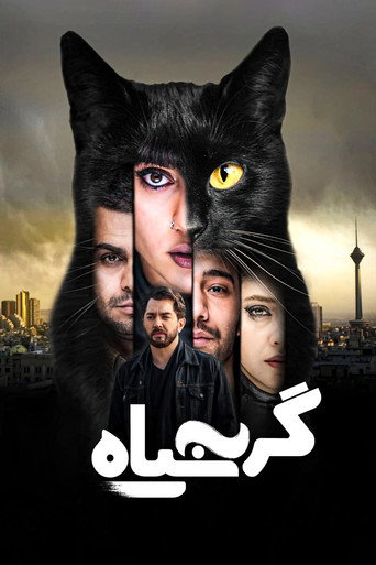 The Black Cat movie poster