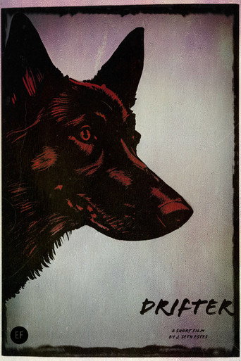 Drifter movie poster