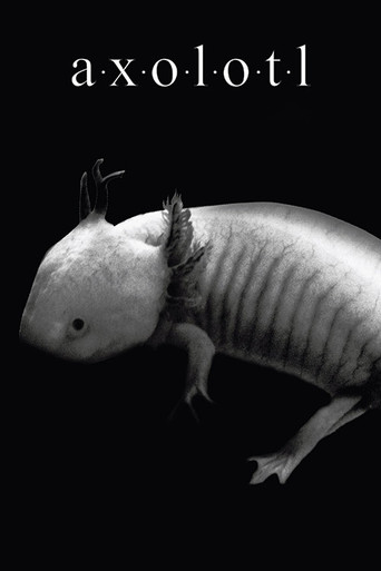 Axolotl movie poster