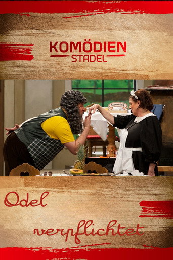 Der Komödienstadel - Odel verpflichtet movie poster