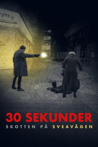 30 sekunder: Skotten på Sveavägen movie poster