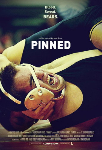 Pinned movie poster