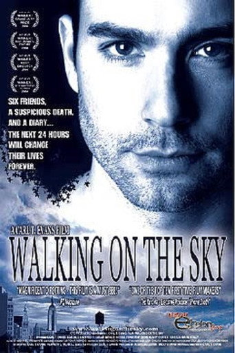 Walking on the Sky movie poster