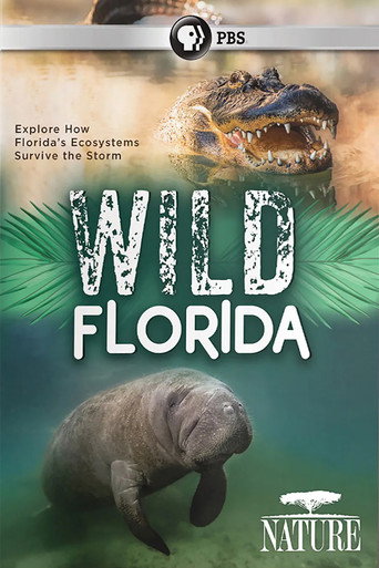 Wild Florida movie poster