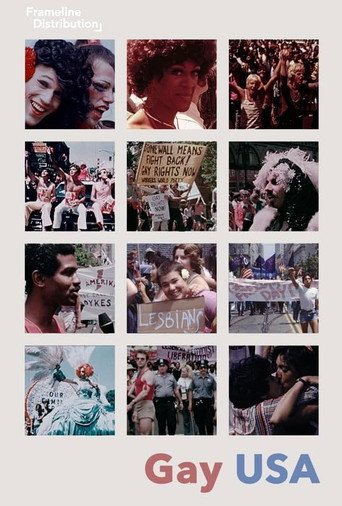 Gay USA movie poster