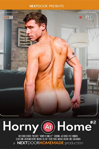 Horny at Home 2 movie poster